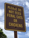 PLEASE DO NOT FEED FERAL CATS OR CHICKENS Sign